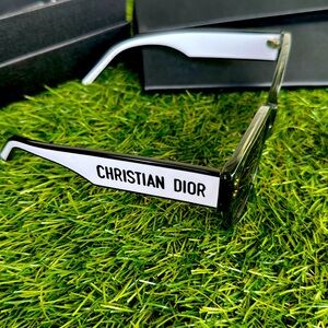 Christian Dior Butterfly Sunglasses